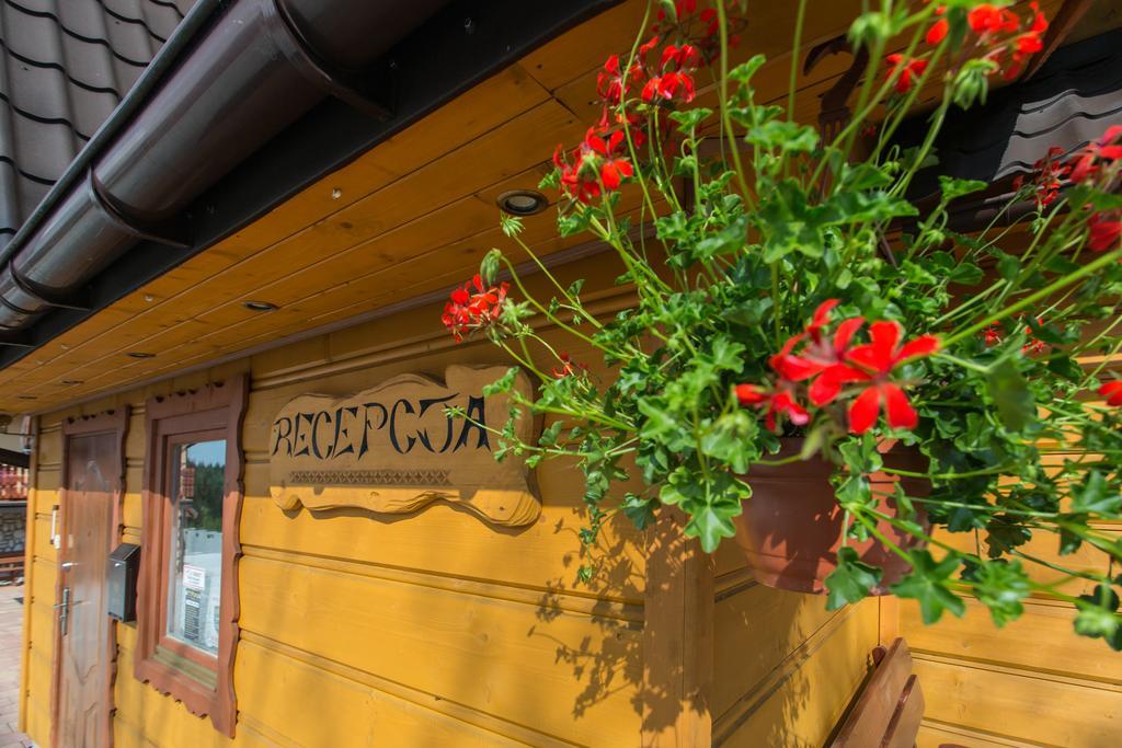 Willa Stachoniowka Zakopane Buitenkant foto